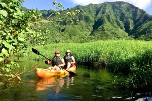 Oahu: Kahana Rainforest River 4-timmars kajakuthyrning