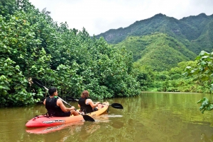 Oahu: Kahana Rainforest River 4-timmars kajakuthyrning