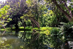 Oahu: Kahana Rainforest River 4-timmars kajakuthyrning