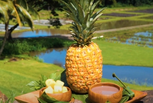 Oahu: Kualoa Farm och Secret Island Tour med Trolley