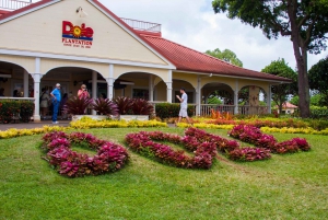 Honolulú: Recorrido por lo más destacado de la isla de Oahu con múltiples paradas