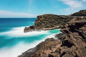 Honolulú: Recorrido por lo más destacado de la isla de Oahu con múltiples paradas