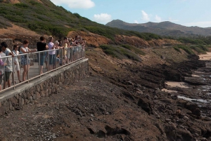 Honolulú: Recorrido por lo más destacado de la isla de Oahu con múltiples paradas