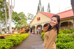 Honolulú: Recorrido por lo más destacado de la isla de Oahu con múltiples paradas