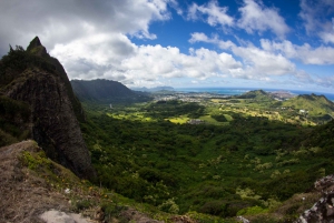 Honolulú: Recorrido por lo más destacado de la isla de Oahu con múltiples paradas