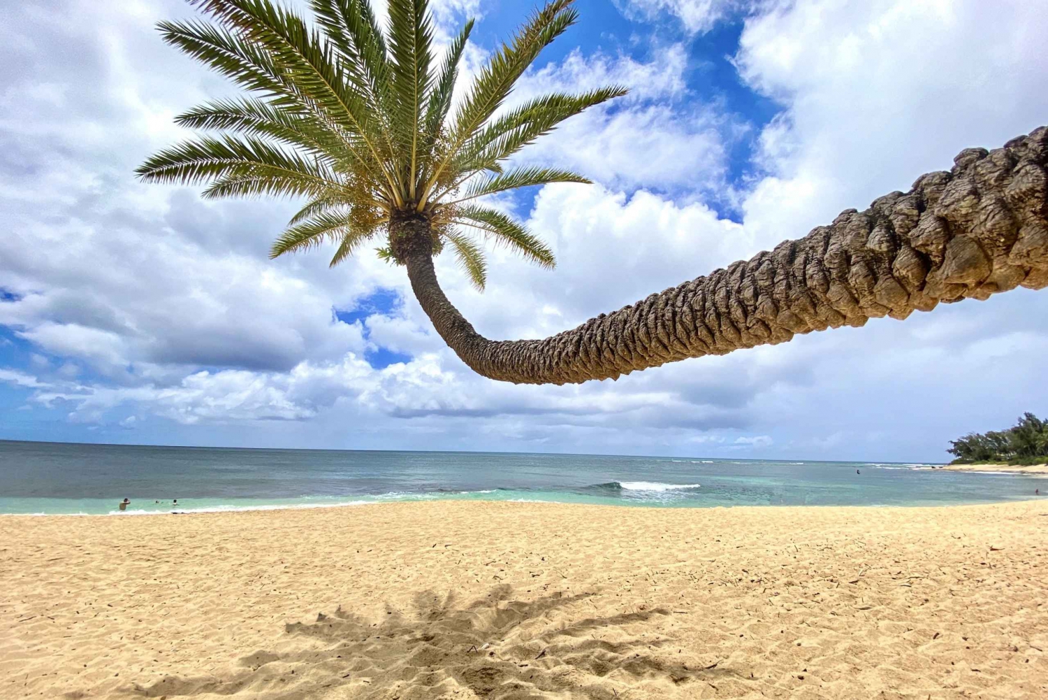 Oahu: North Shore Experience e Dole Plantation