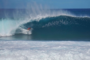 Oahu: Private Tour-North Shore feat. Waimea Falls