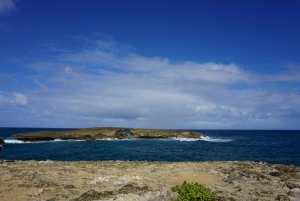 Oahu: Private Tour-North Shore feat. Waimea Falls
