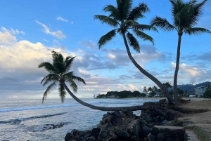 Oahu: Private Tour-North Shore feat. Waimea Falls