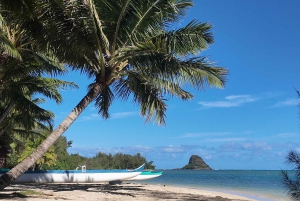 Oahu: Private Tour-North Shore feat. Waimea Falls