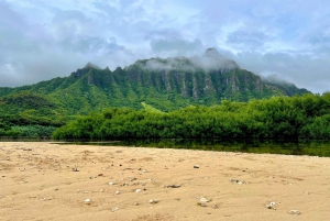 Oahu: Private Tour-North Shore feat. Waimea Falls