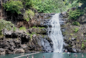 Oahu: Private Tour-North Shore feat. Waimea Falls