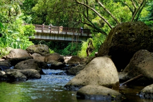 Oahu: Private Tour-North Shore feat. Waimea Falls