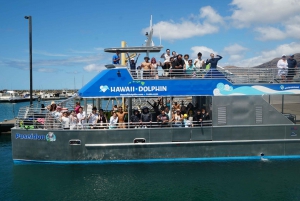 Oahu: Swim with Dolphins, Turtle Snorkel Tour and Waterslide