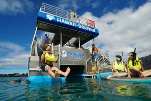Oahu: Swim with Dolphins, Turtle Snorkel Tour and Waterslide