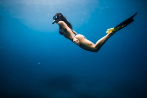 Oahu: Swim with Dolphins, Turtle Snorkel Tour and Waterslide