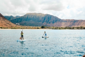 Oahu: Swim with Dolphins, Turtle Snorkel Tour and Waterslide