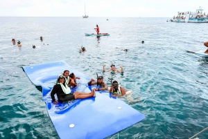 Oahu: Swim with Dolphins, Turtle Snorkel Tour and Waterslide