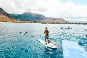 Oahu: Swim with Dolphins, Turtle Snorkel Tour and Waterslide