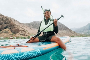 Oahu: Swim with Dolphins, Turtle Snorkel Tour and Waterslide