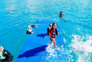Oahu: Swim with Dolphins, Turtle Snorkel Tour and Waterslide