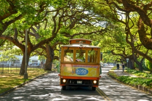Oahu: Waikiki Trolley Hop-on Hop-off All-Line Pass
