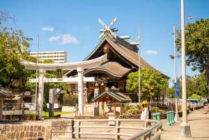Oahu: Waikiki Trolley Hop-on Hop-off All-Line Pass
