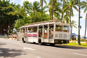 Oahu: Waikiki Trolley Hop-on Hop-off All-Line Pass