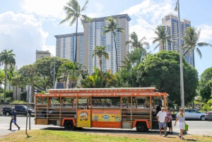 Oahu: Waikiki Trolley Hop-on Hop-off All-Line Pass