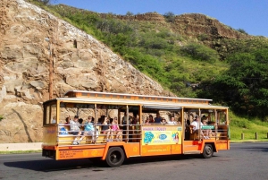 Oahu: Waikiki Trolley Hop-on Hop-off All-Line Pass
