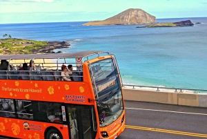 Oahu: Waikiki Trolley Hop-on Hop-off All-Line Pass