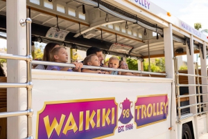 Oahu: Waikiki Trolley Hop-on Hop-off All-Line Pass