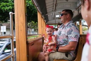 Oahu: Waikiki Trolley Hop-on Hop-off All-Line Pass