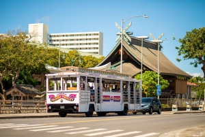 Oahu: Waikiki Trolley Hop-on Hop-off All-Line Pass