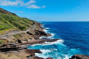 Oahu: Waikiki Trolley Hop-on Hop-off All-Line Pass