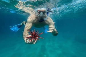 Premium Private Maui Snorkel Adventure with Turtles + Picnic