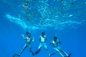 Premium Private Maui Snorkel Adventure with Turtles + Picnic