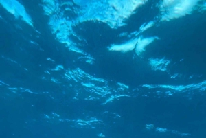 Premium Private Maui Snorkel Adventure with Turtles + Picnic