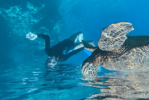 Premium Private Maui Snorkel Adventure with Turtles + Picnic