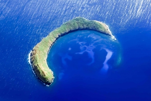 South Maui: Eco Friendly Molokini and Turtle Town Tour