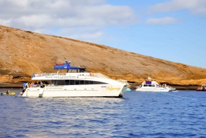 South Maui: Eco Friendly Molokini and Turtle Town Tour