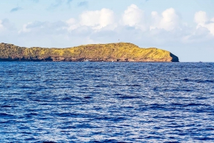South Maui: Eco Friendly Molokini and Turtle Town Tour