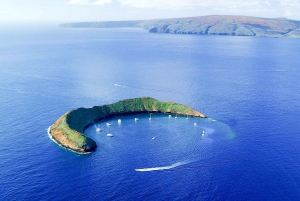 Maui Sud: Tour di snorkeling di Molokini e Turtle Town con pasto