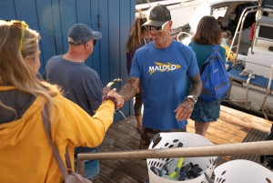 Maui Sud: Tour di snorkeling di Molokini e Turtle Town con pasto