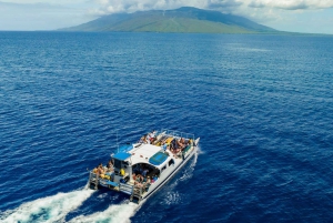 Maui Sud: Tour di snorkeling di Molokini e Turtle Town con pasto