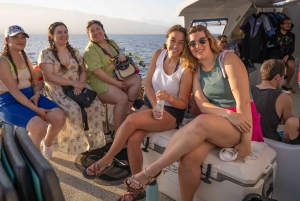 Maui Sud: Tour di snorkeling di Molokini e Turtle Town con pasto