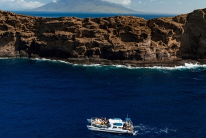 Maui Sud: Tour di snorkeling di Molokini e Turtle Town con pasto