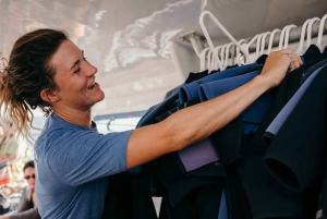 Maui Sud: Tour di snorkeling di Molokini e Turtle Town con pasto