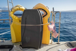 Maui Sud: Tour di snorkeling di Molokini e Turtle Town con pasto