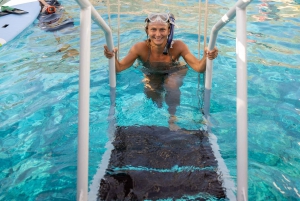 Maui Sud: Tour di snorkeling di Molokini e Turtle Town con pasto